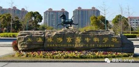timg-1.jpeg 图片